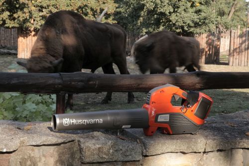 Zwierzęta we wrocławskim ZOO wpierane przez producenta narzędzi ogrodniczych